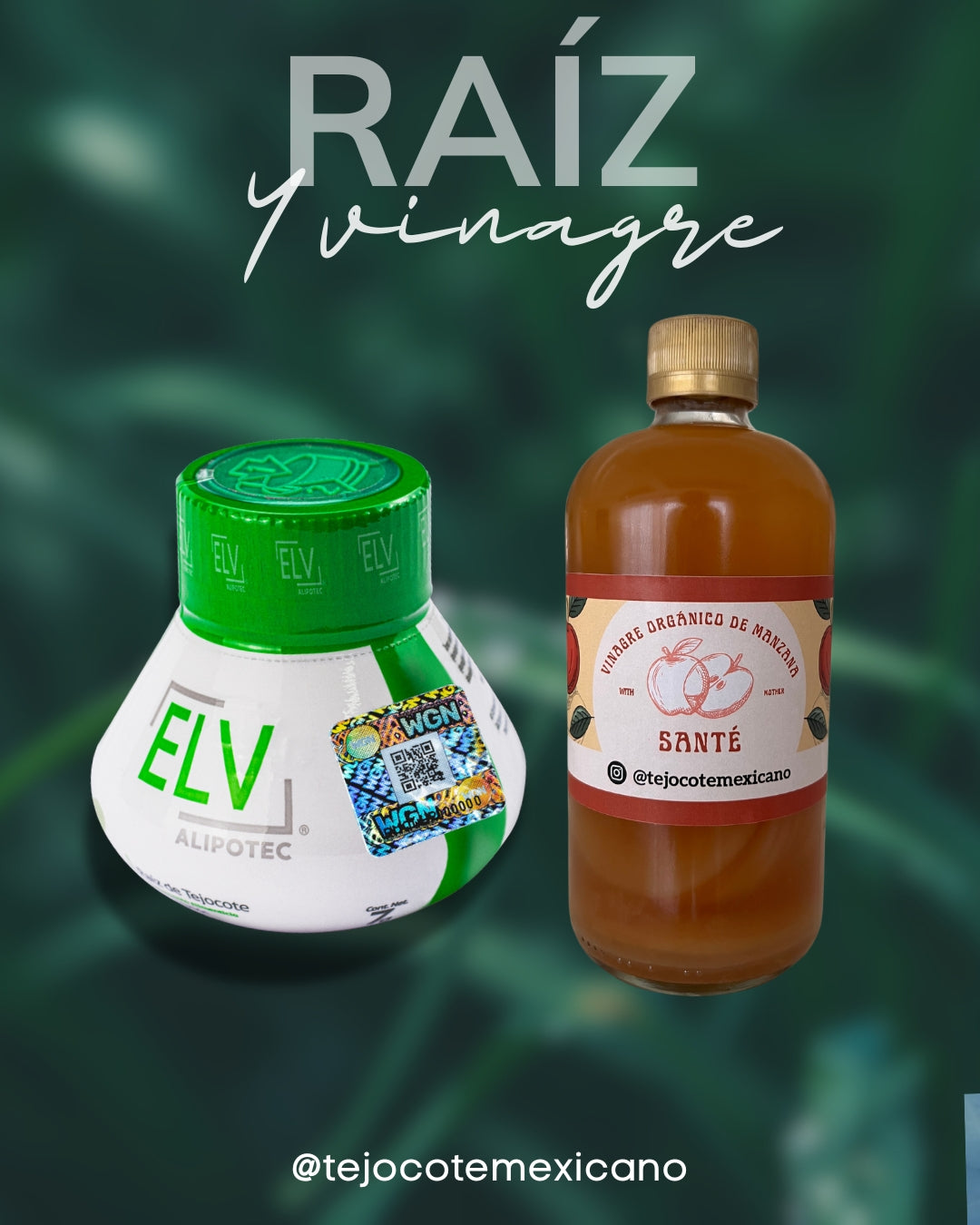 RAÍZ Y VINAGRE DE MANZANA