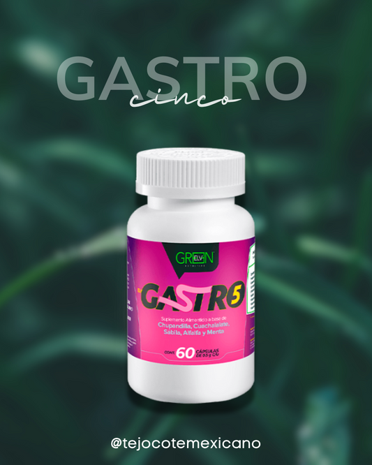 GASTRO 5