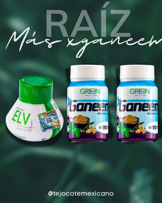 Raíz más Moringa